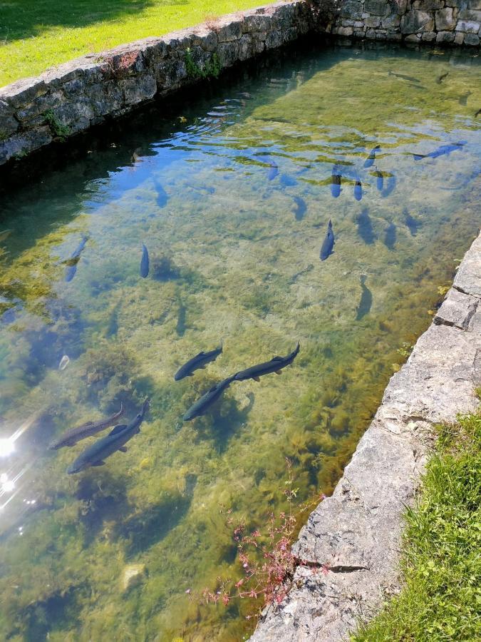 Les Pieds Dans L'Eau, Gite La Source Lachapelle-Auzac Esterno foto